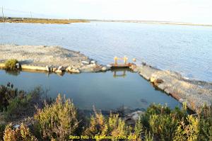 33 SANTA POLA LES SALINES (29)
